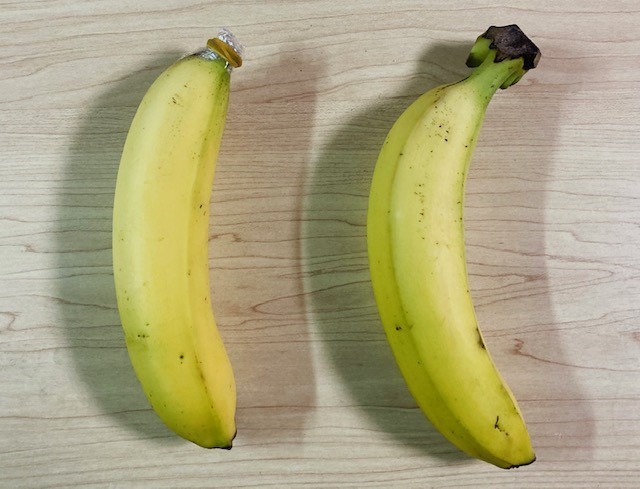 バナナ画像