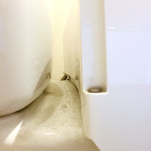 「トイレタンクと便器のすき間に溜まった汚れ」をごっそり取り除く方法【知って得する掃除術】