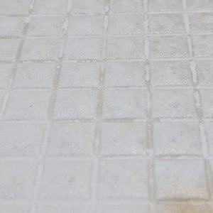 「浴室の床の頑固な黒ずみ」をアルカリ電解水と100均グッズでごっそり落とす方法【知って得する掃除術】