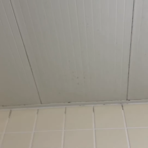 「お風呂場の天井」についたカビをスルスル落とす“塩素系洗剤以外”の方法【知って得する掃除術】