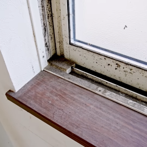 「窓枠やサッシ」の“カビ・ほこり・皮脂汚れ”を一気に落とす方法【知って得する掃除術】