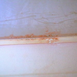 気づくと「お風呂」に発生する“ピンク汚れ”をごっそり落とす方法と予防策【知って得する掃除術】