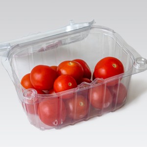 「ミニトマトの空き容器」捨てたら損！ピクニックで使える“便利な活用術”