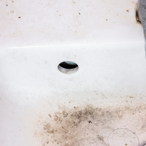 ニオイの原因になる「洗面台の穴」の“カビと水アカ”を確実に落とす【知って得する掃除術】