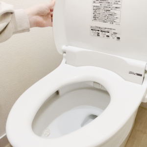 「トイレ」が臭くなる原因に。掃除を忘れがちな「3つの場所」【知って得する掃除術】