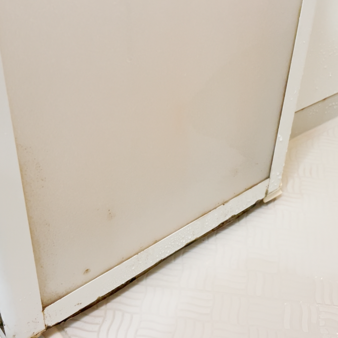  「浴室ドア」の“カビ・黒ずみ汚れ”を残さずごっそり落とす方法【キッチン泡ハイターの掃除活用術】 