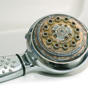 「シャワーヘッド」の“水アカ汚れ”が格段に落ちるクエン酸と混ぜて使う洗剤とは？【知って得する掃除術】