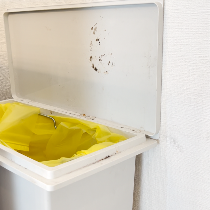  「キッチンのゴミ箱」の“生ゴミ臭・液だれ・雑菌”をまるっと落とす方法【知って得する掃除術】 