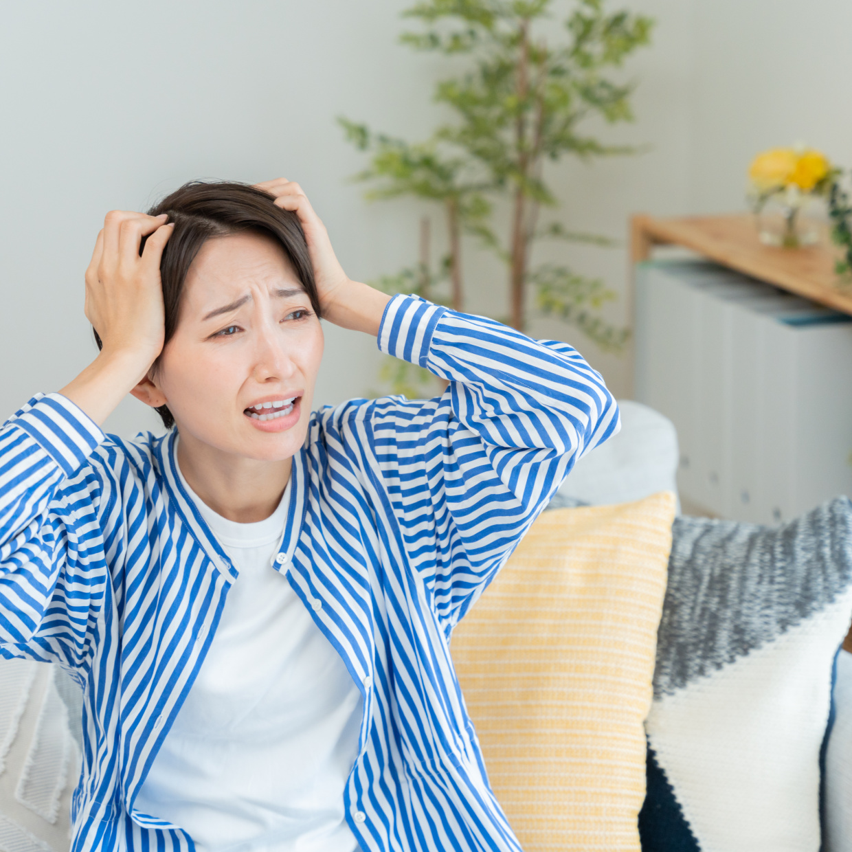  気づくと家に虫が入っている…。虫が侵入しやすい家“３つの特徴” 