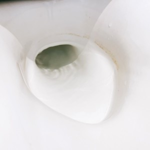 もう諦めてた…。「トイレの便器」にできた“落ちない黒ずみリング”を確実に落とす【掃除グッズ】