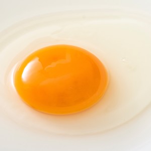 知らなきゃ損！「卵白」の驚きの健康効果とは？【管理栄養士が「卵」の栄養を解説】