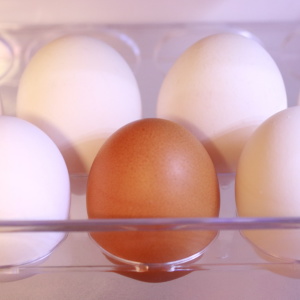 「卵」が長持ちする。意外と知らない“卵のただしい保存方法”