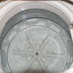 洗濯物のニオイの原因「洗濯槽のカビ」をごっそり落とす！洗濯槽クリーナーの使い方“3つのポイント”