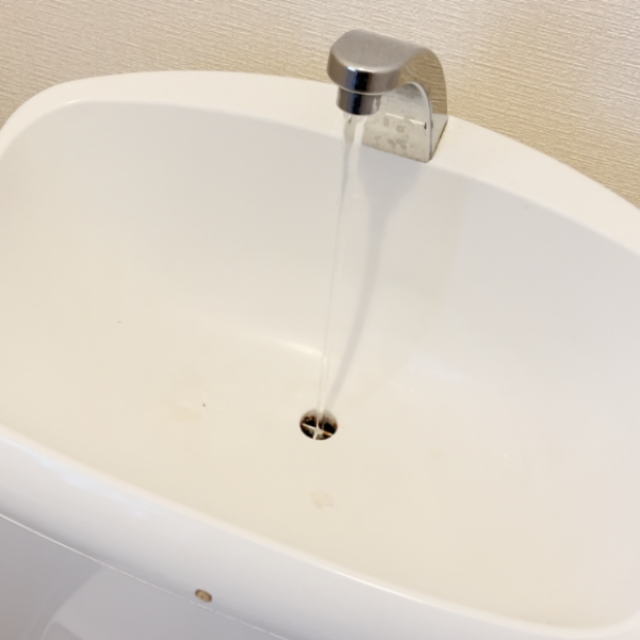  実は汚れてる「トイレの手洗いボウル」の“カビや水垢”をスルンと落とす方法【意外と知らない掃除術】 