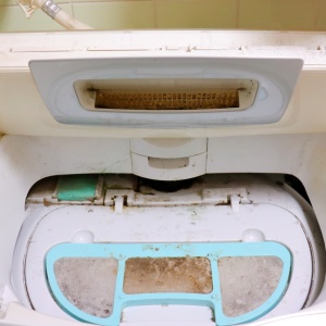 イヤな臭いの原因になる「洗濯機のカビ」を発生させない“３つのお手入れ習慣”