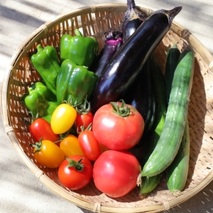 冷蔵庫に余った「夏野菜」で作れる【免疫力アップの作り置きレシピ】