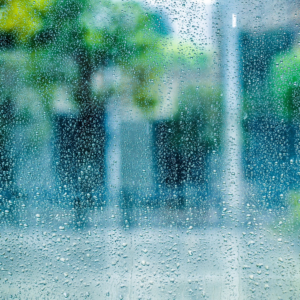  「雨の日」こそ掃除したい“３つの場所”と理由「晴れてる日より掃除が簡単にできる！」 