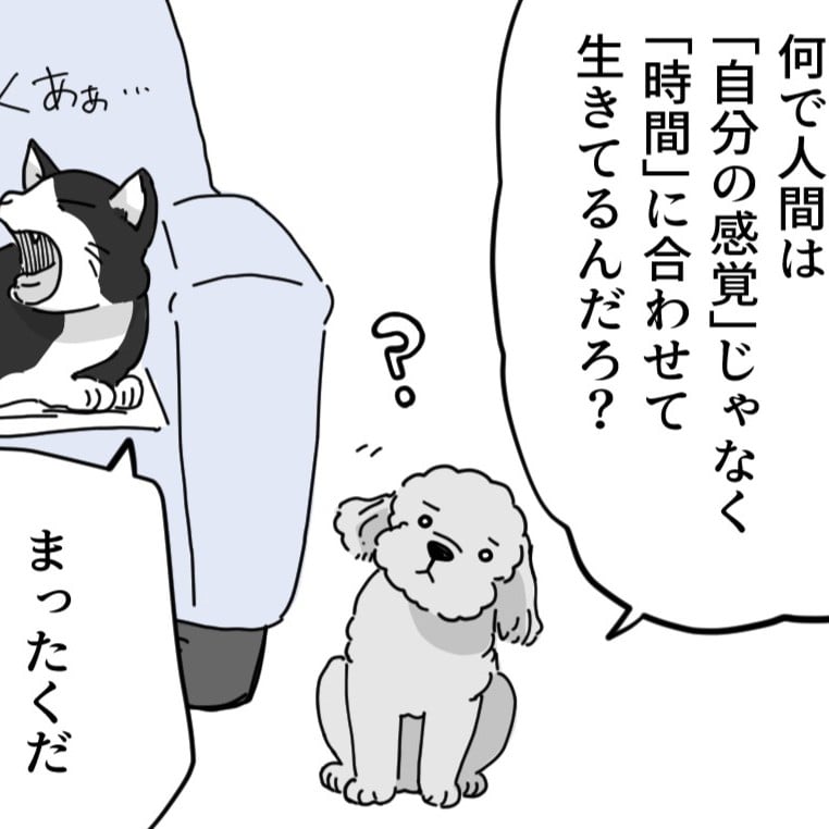  お昼ごはんの時間。寝る時間。「もっと感覚で生きてもいいよね？」【トイトイの問い 第68話】 