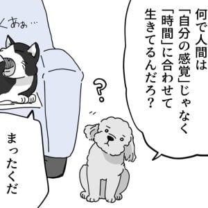 お昼ごはんの時間。寝る時間。「もっと感覚で生きてもいいよね？」【トイトイの問い 第68話】