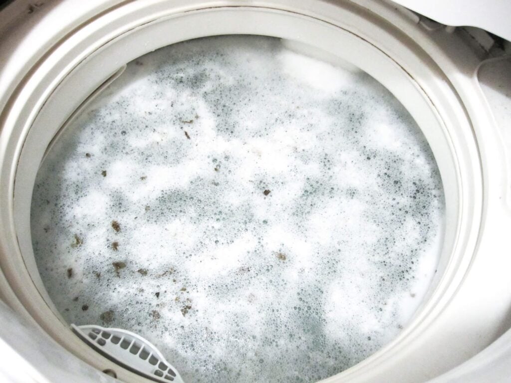 洗濯機のカビ」が増殖してしまう“3つの原因”と簡単にできる対策