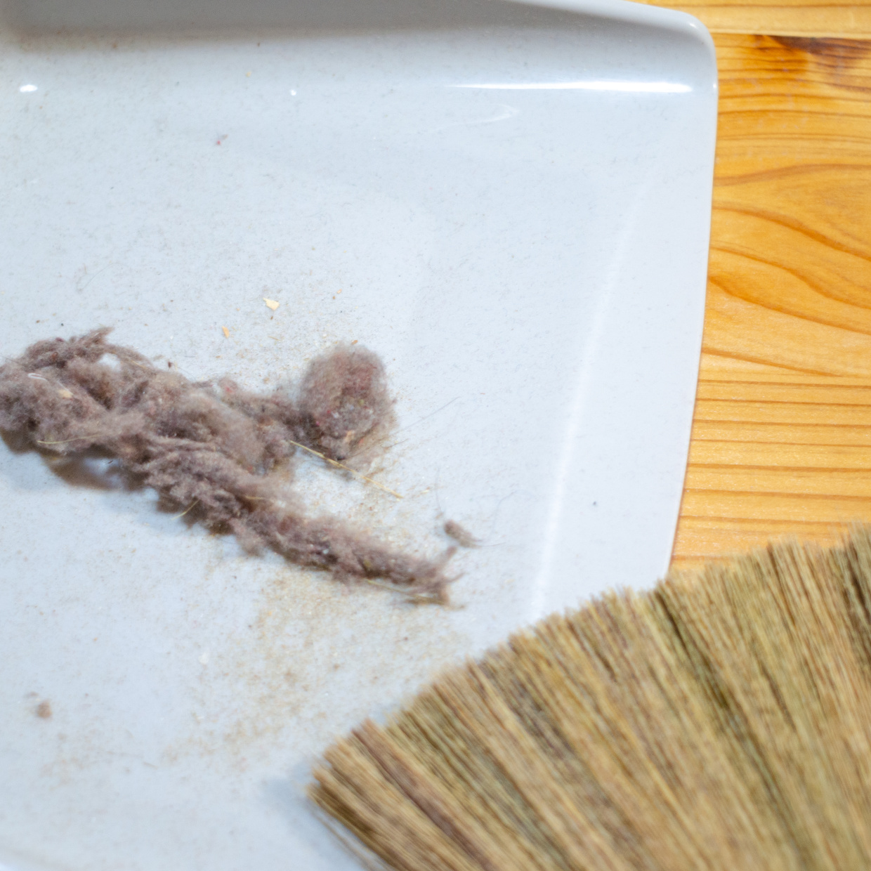  気付くとたまる“ホコリ”を防ぐ掃除術「ただ水拭きしてた…」「やってみます」 