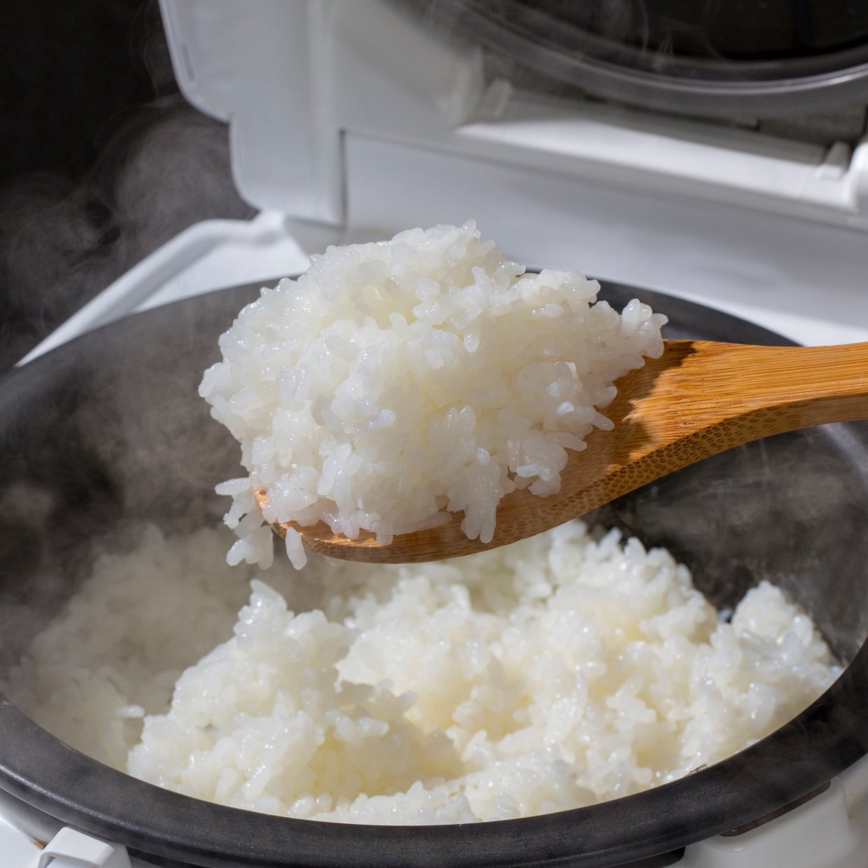  余った「ご飯」の1番おいしい“冷凍保存法”を検証→「3つの方法で食べ比べ」「明らかに違う！」 