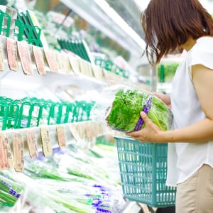 物価高で野菜が高い…。「食費が少ない人」が今だから買う“３つの野菜”「見極めが大事」「マネします」