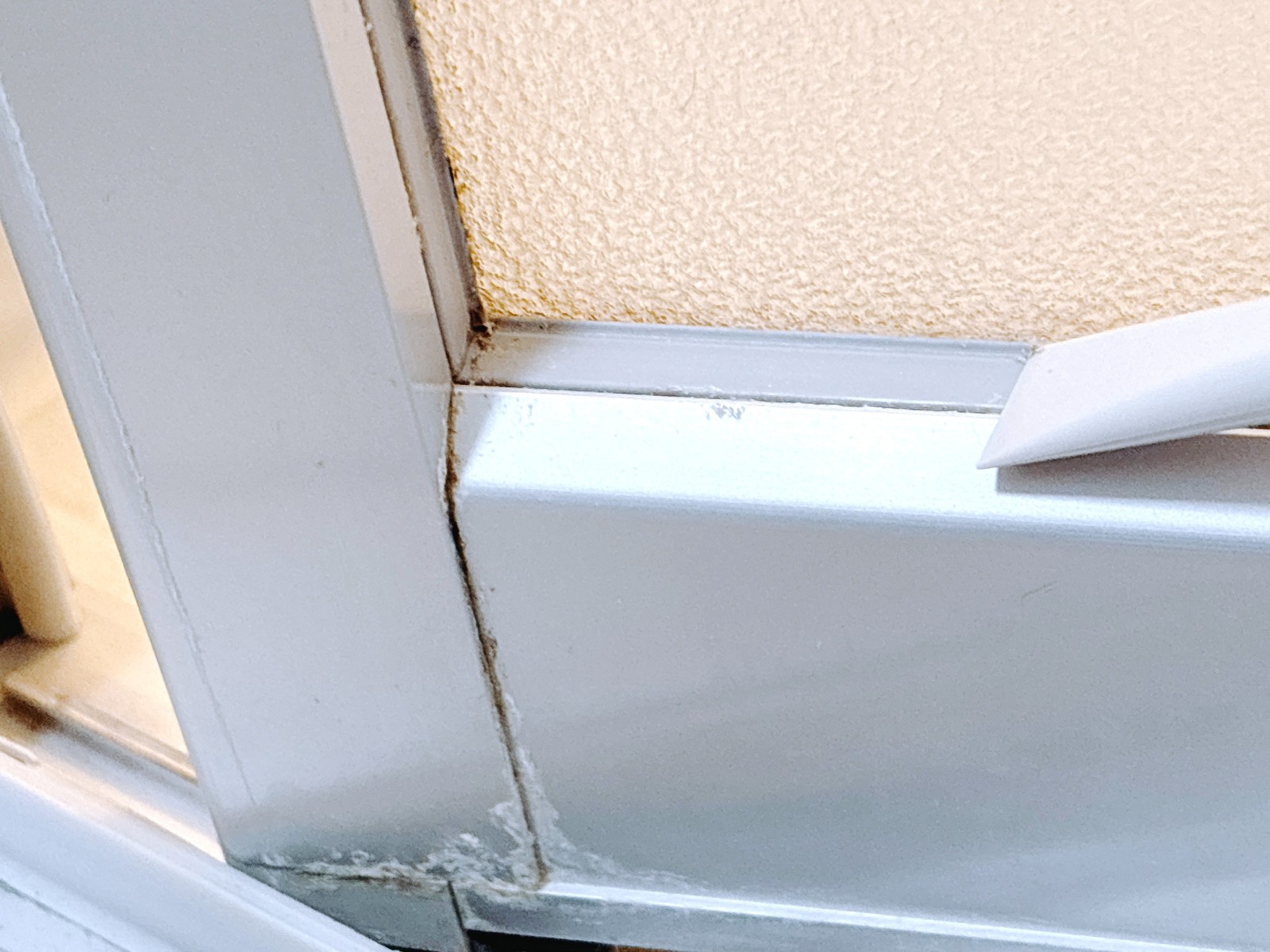 「お風呂場のドア」の“頑固なカリカリ汚れ”を落とす掃除ワザ→「スルンとスッキリ!」「パックするんだ」