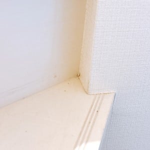 「階段の隅」に溜まったホコリを隅々まで取り除く“意外な掃除ワザ”「掃除機で取れないホコリも取れた！」