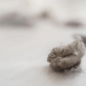じつは「隠れ汚れ」が蓄積する“掃除スポット３つ”→「ずっと掃除してなかった…」「見逃してた」