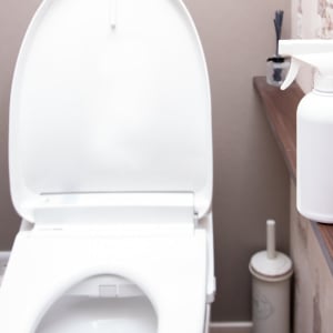 じつは便器よりも汚れている…。「トイレが清潔な人」が絶対やらない“3つのNG習慣”