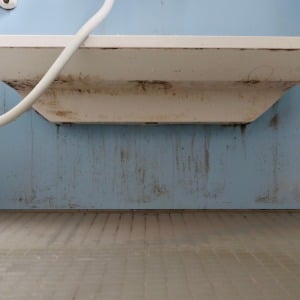 見落としてない？「お風呂場」の“隠れカビスポット”3選→「気付いたらカビが生えてた…」「確認する！」