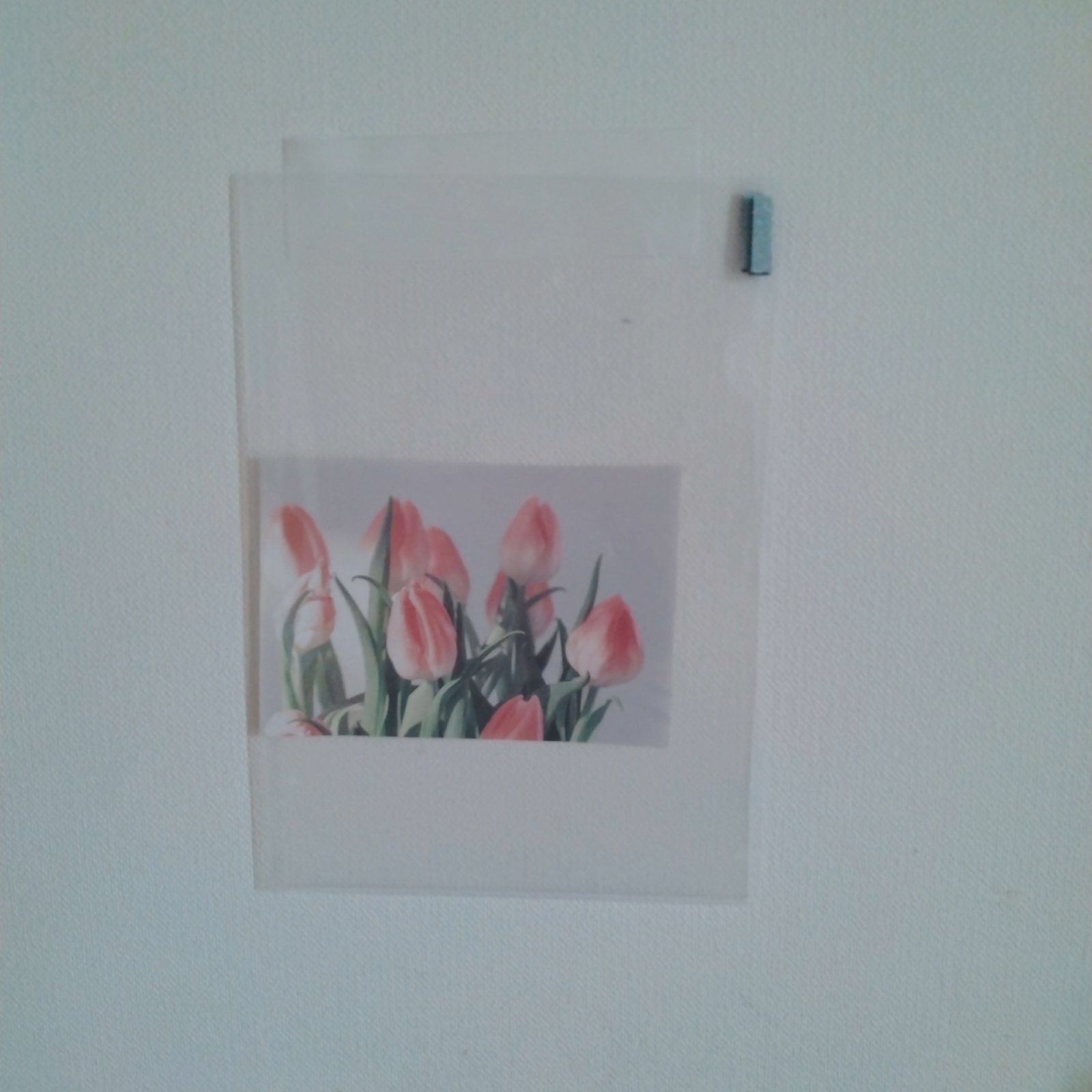 壁に穴を開けずにお気に入りの絵やカードが飾れる!