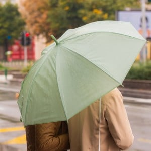 次の雨予報までにやりたい。防水スプレーを使わずに“傘の撥水力が復活する”裏技