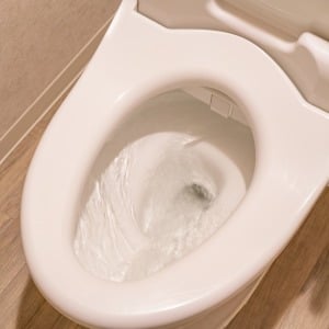 ただ吹きかけるだけじゃなかった…！トイレの黒ずみ「サボったリング」の“こすらない効率的な掃除術”