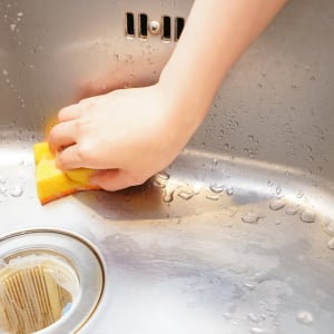 専用スポンジは不要「ステンレスシンク」がピカピカになる“緑の意外なアイテム”「すぐ捨ててた」