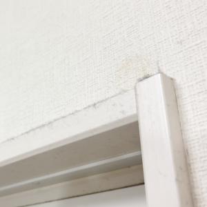 「洗面所の上」はホコリだらけ…。“手が届かない場所”もラクに掃除する方法「ごっそり取れる！」