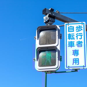 信号機の「ピヨピヨ」と「カッコー」の違い知ってる？意外と知らない“音の秘密”「知らなかった…」