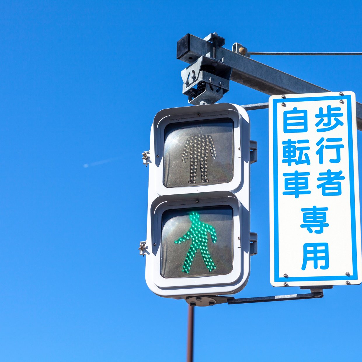  信号機の「ピヨピヨ」と「カッコー」の違い知ってる？意外と知らない“音の秘密”「知らなかった…」 