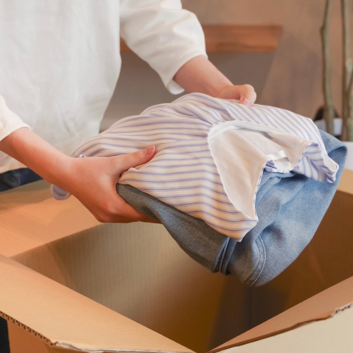  衣替えで出た「不要品」すぐ捨てないで！車に積むと“意外と助かる”3つのアイテム「賢い」「用意します」 