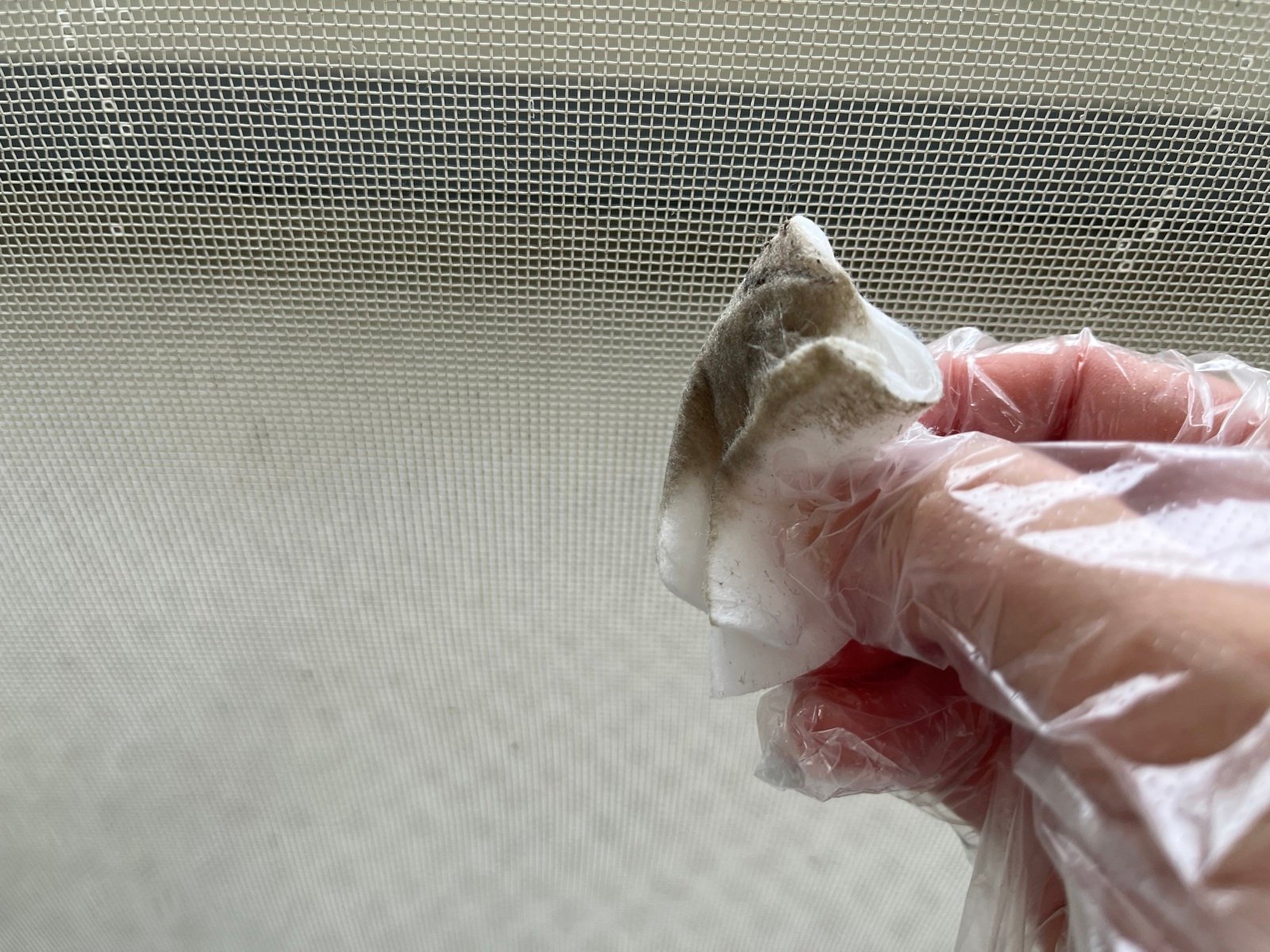 意外と丈夫なおしぼりは、「窓のお掃除」に使える!