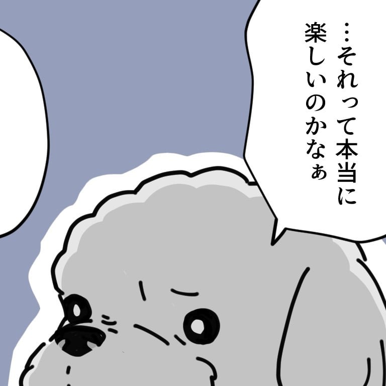  トイトイの問い 