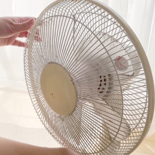  「扇風機」の“ホコリ＆ベタつき汚れ”をごっそり落とす掃除術「夏前にやっておきたい」「すっきり快適！」 