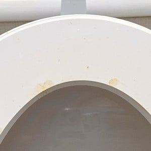 知らぬうちに汚れがへばりつく…「便座裏の黄ばみ」を撃退する意外な洗剤「こすらず簡単！」