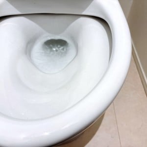 「トイレの黒ずみ」がスルンと落ちる！手間なし掃除術→「強い洗剤は不要」「ピカピカ！」