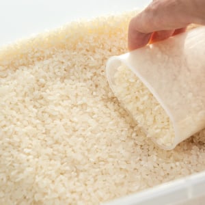 お米に虫が…！夏にやっておきたい“3つの防虫対策”「袋のまま置いてた…」「買う量も考える」