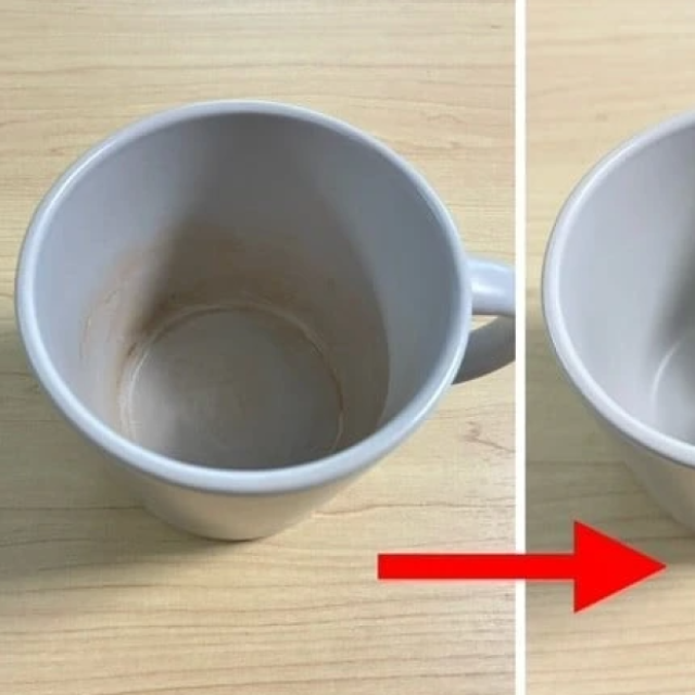  頑固な茶渋を“こすらずたった5分”でキレイにするワザ「なるほど」「密着するんだ」 
