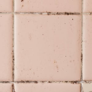 お風呂場だけじゃない！家に潜む「カビ」の“意外な発生スポット”3つ「気づかなかった…」