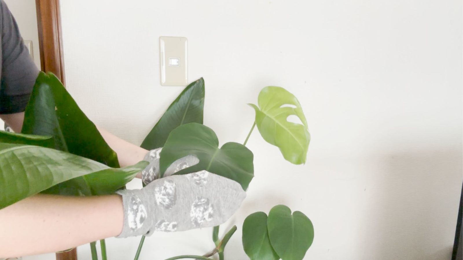 観葉植物の葉のホコリ取りや、階段の手すり、テレビまわりなど、ちょっと気になったときの“ついで掃除”に大活躍