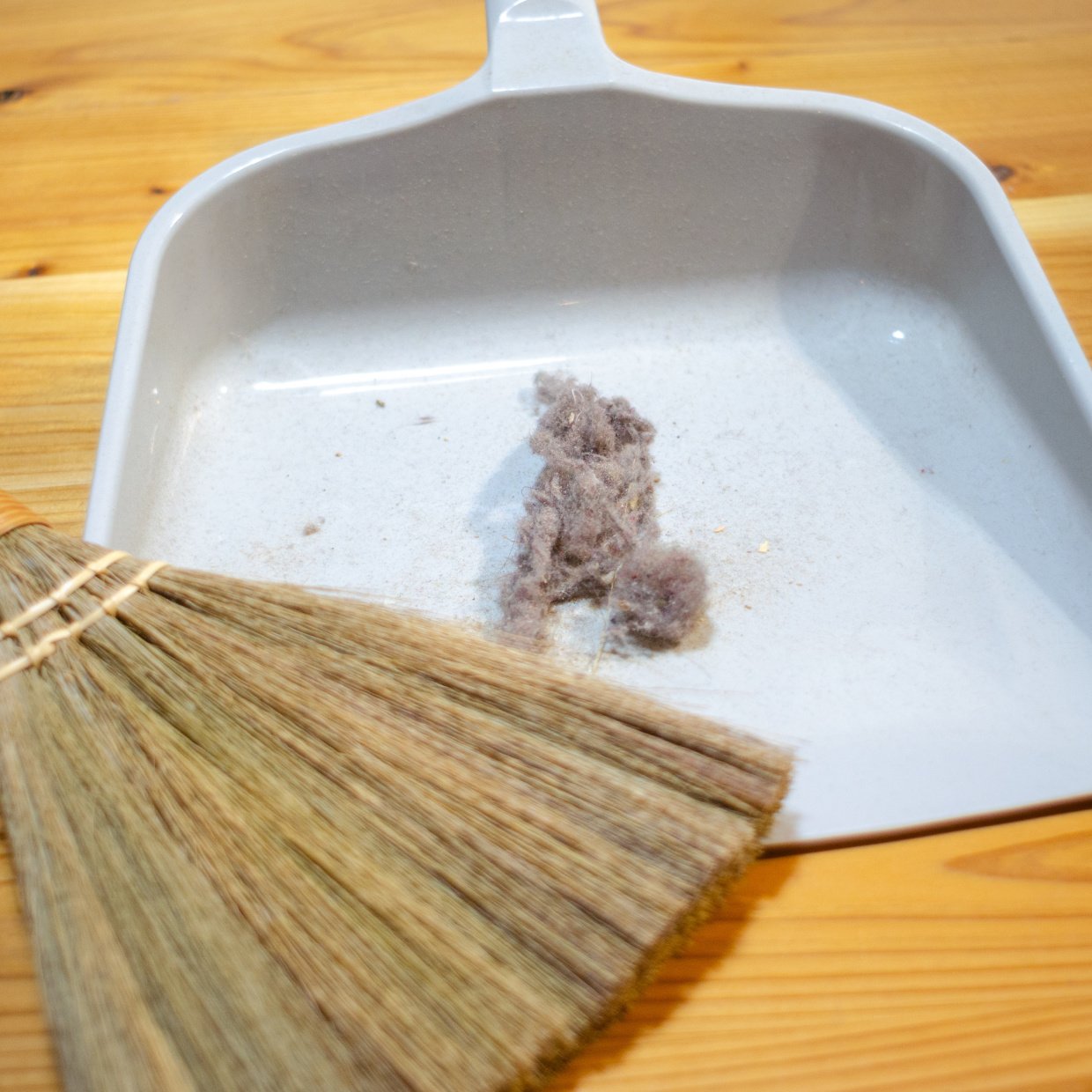 細かいゴミや髪の毛が“気持ちがいいほど取れる”意外な掃除ワザ「ホウキ以外のアイテムがカギ」